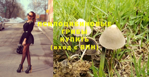 марки lsd Балахна