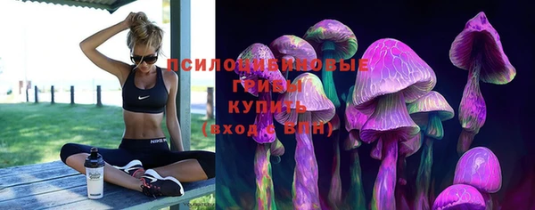 марки lsd Балахна