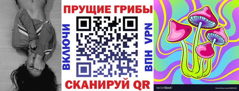 где можно купить наркотик  Гвардейск  Галлюциногенные грибы прущие грибы 