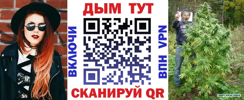 где можно купить наркотик  Гвардейск  Шишки марихуана семена 